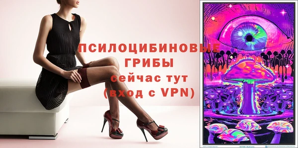 трава Белая Холуница