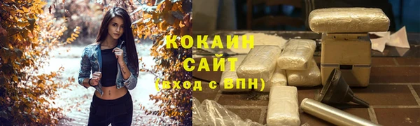 кокс Болотное