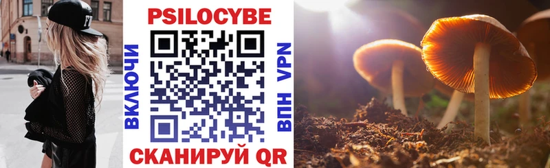 магазин продажи   Духовщина  мега рабочий сайт  Псилоцибиновые грибы Magic Shrooms 